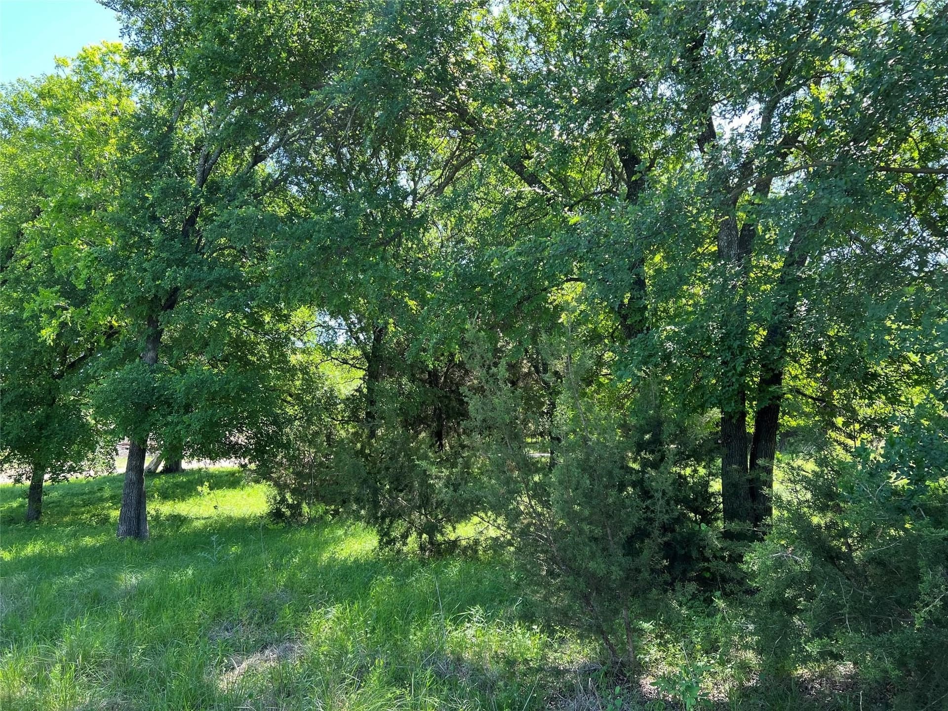 23.55 acres in Erath County - photo 33