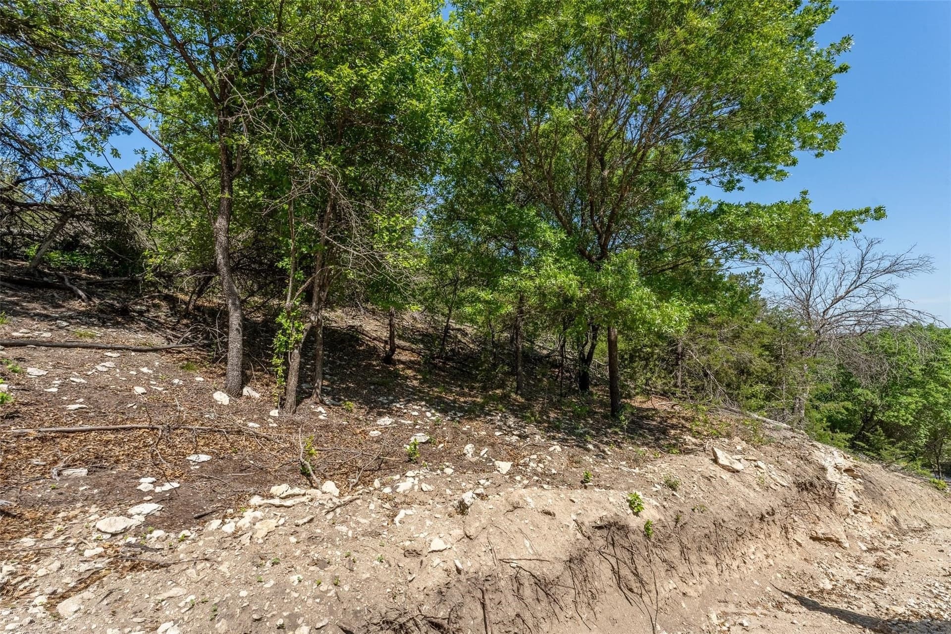 23.55 acres in Erath County - photo 28
