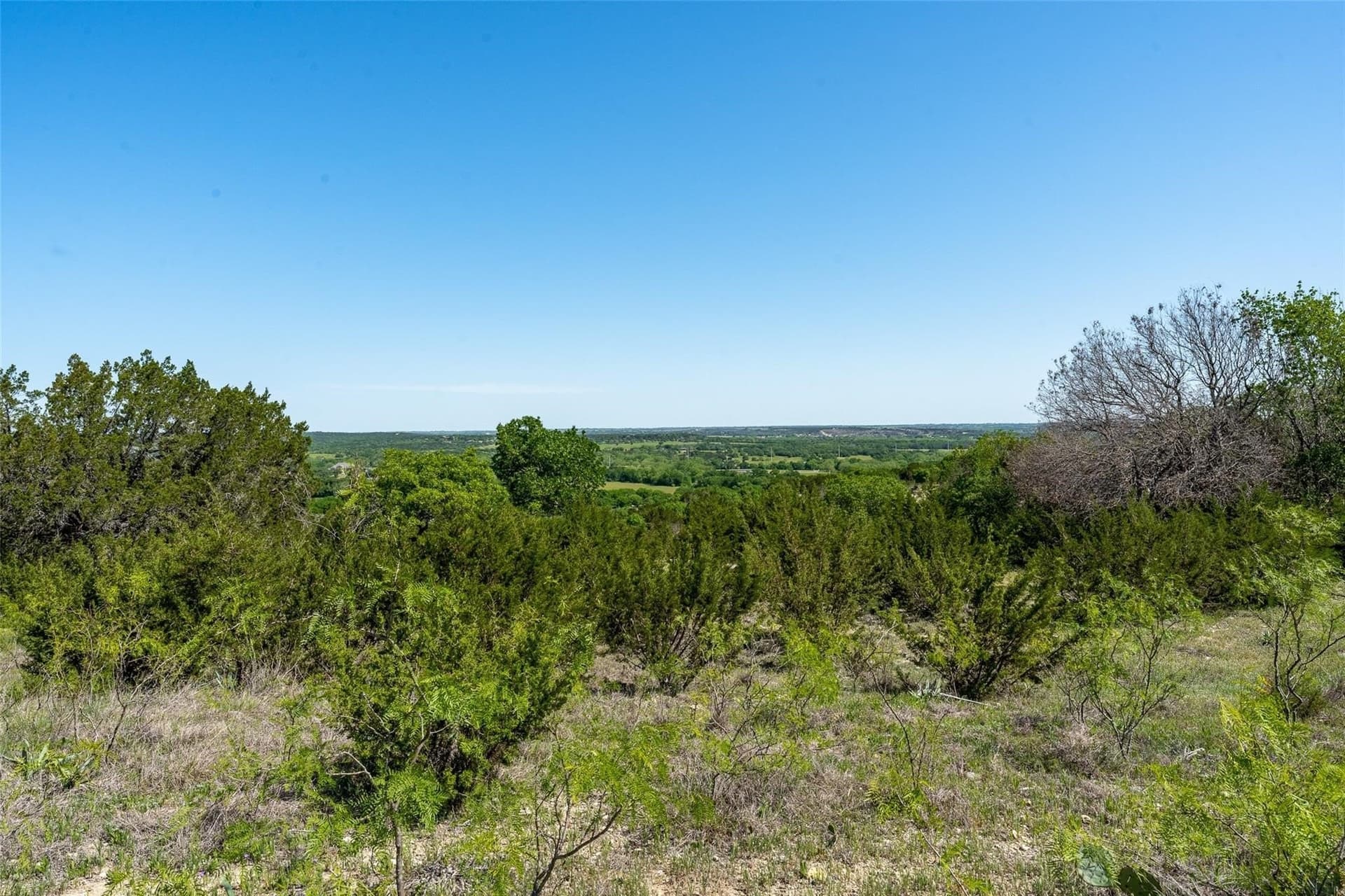 23.55 acres in Erath County - photo 23