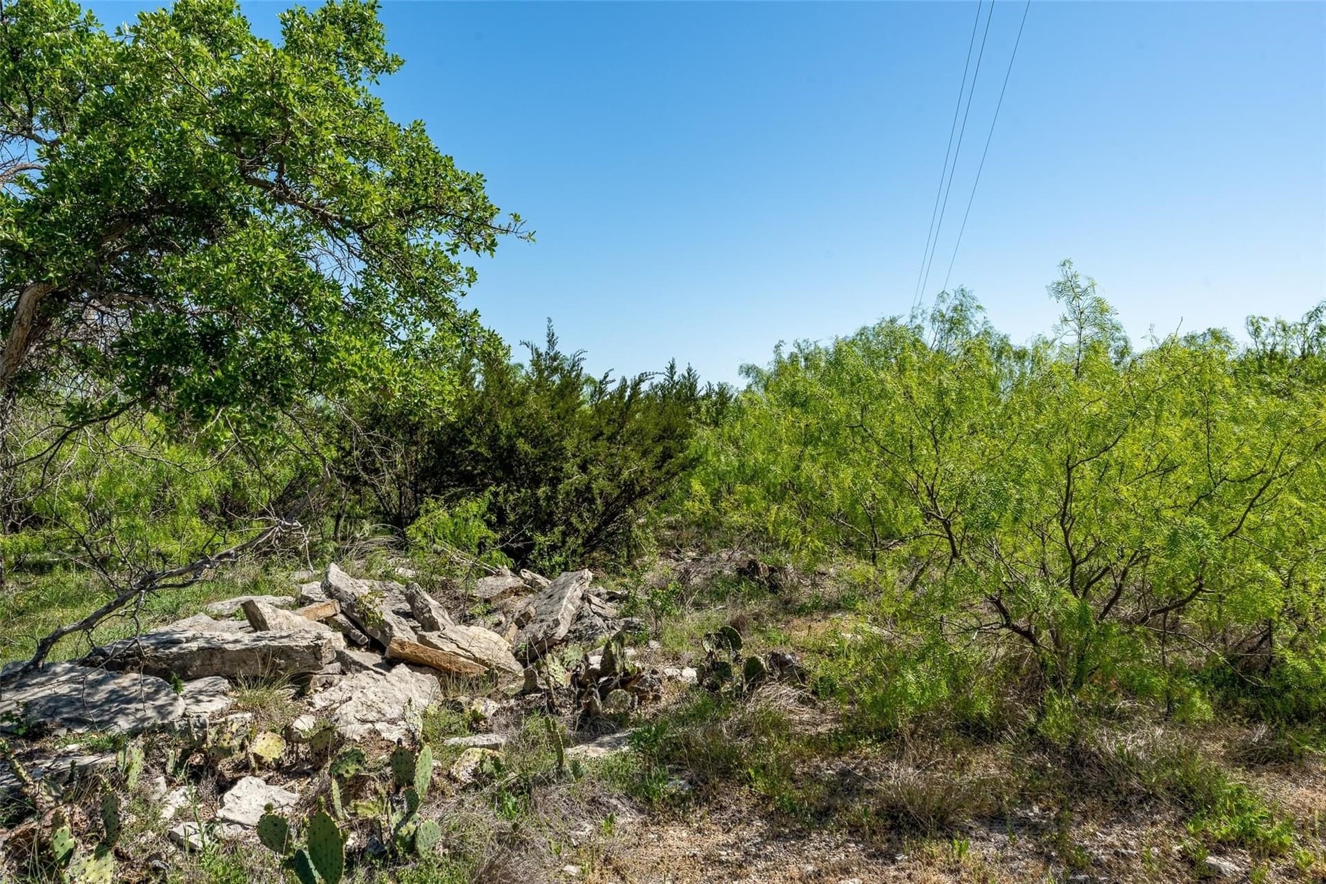 23.55 acres in Erath County - photo 22