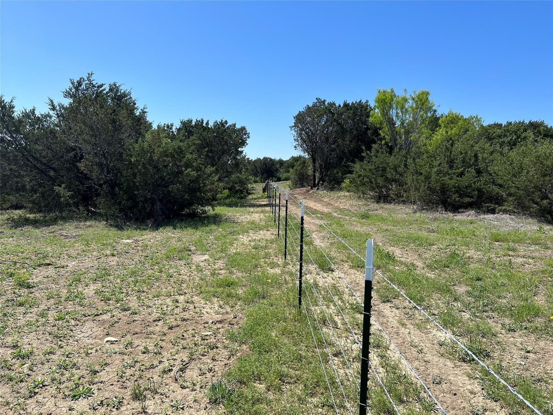23.55 acres in Erath County - photo 34
