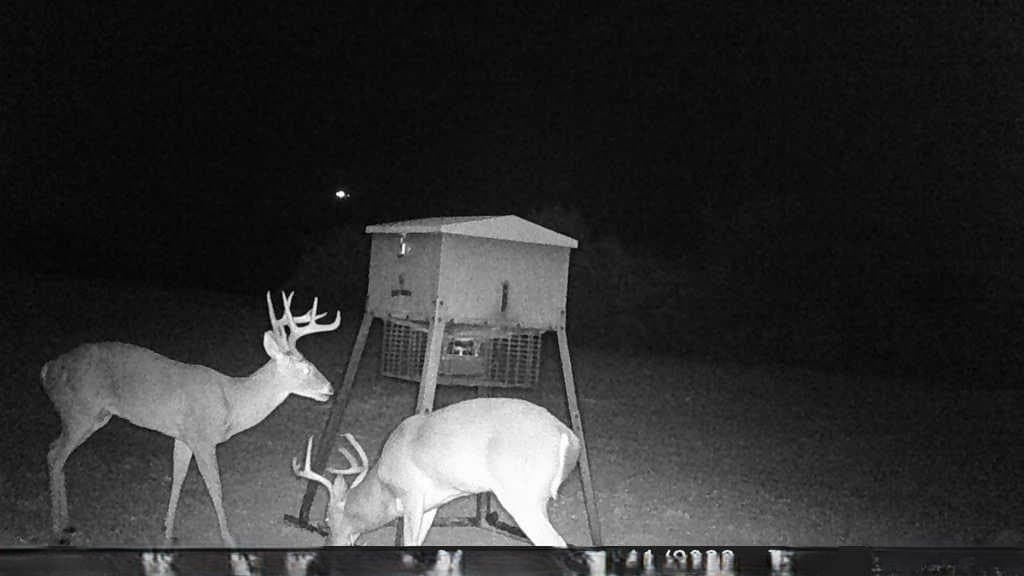 23.55 acres in Erath County - photo 37