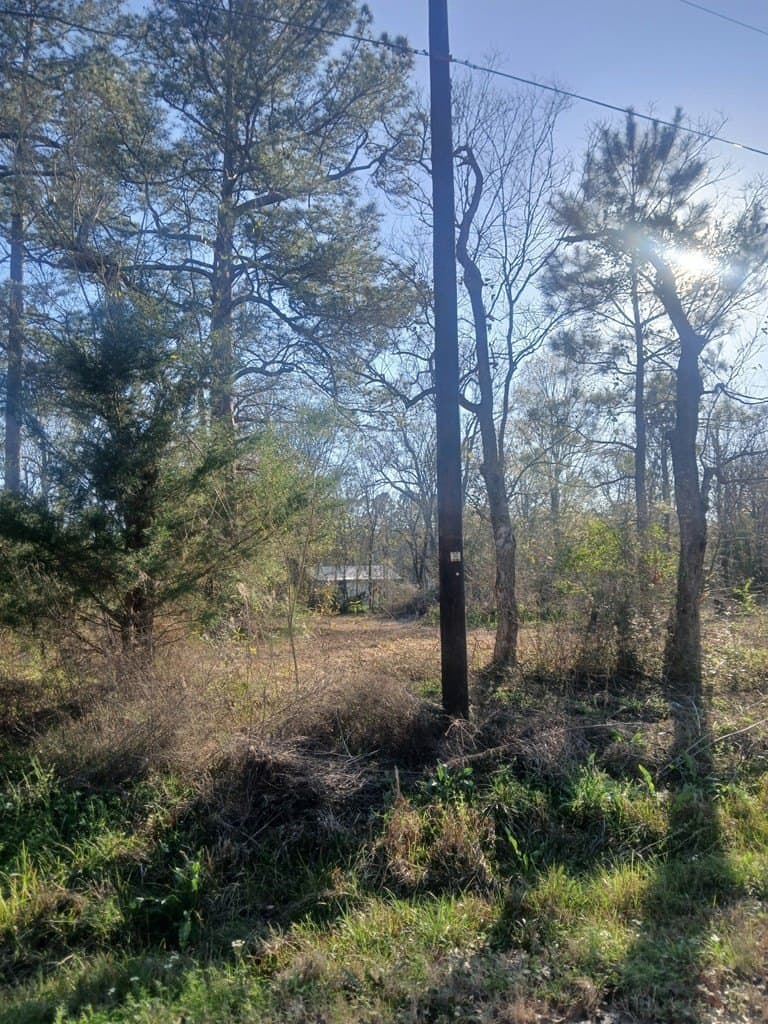 0.47 acres in Texas County gallery image 4