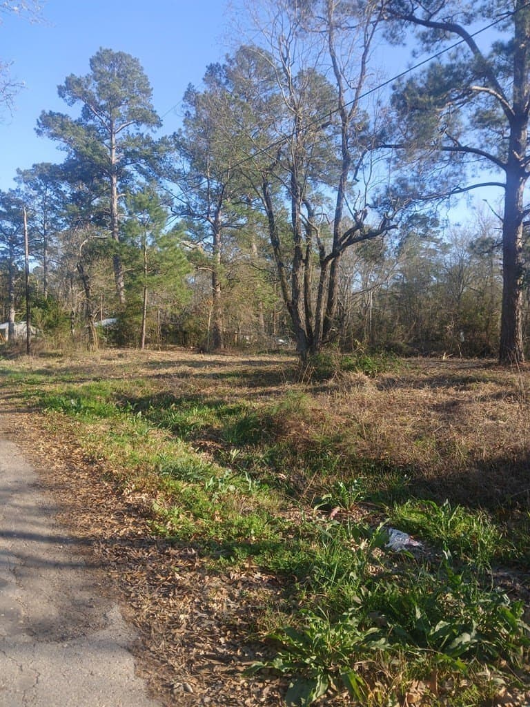 0.47 acres in Texas County gallery image 3