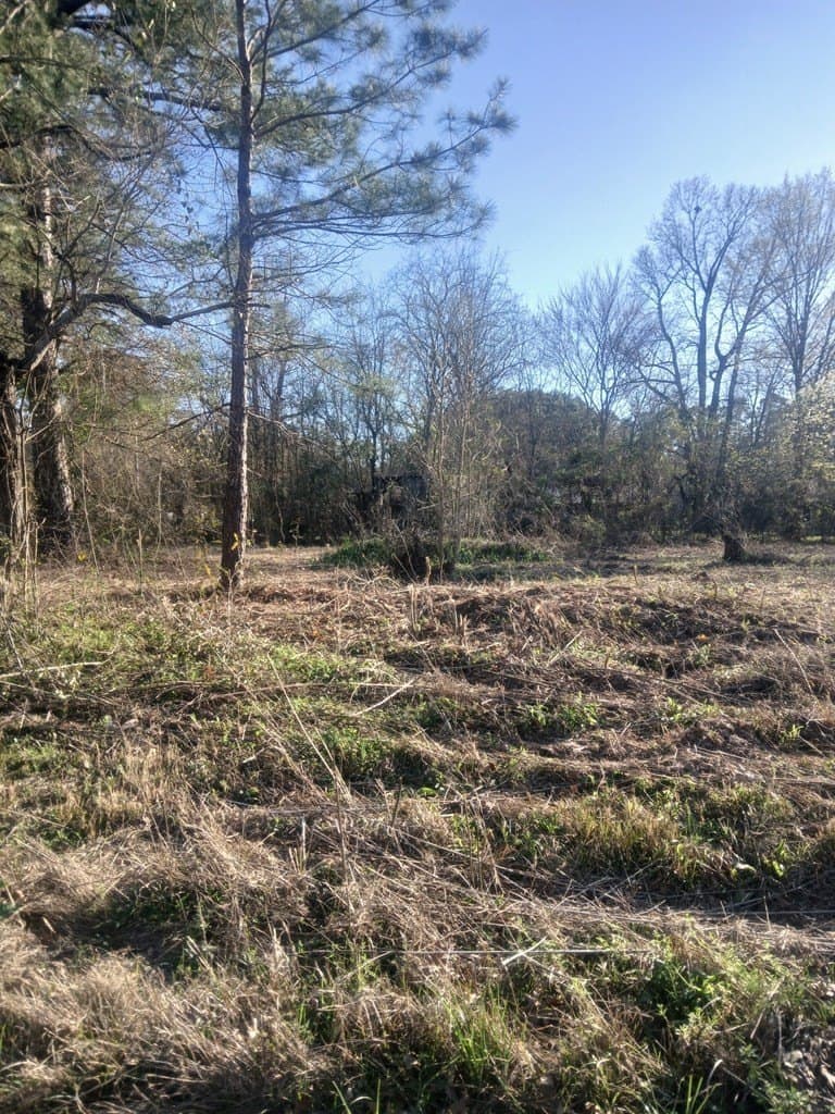 0.47 acres in Texas County - photo 6