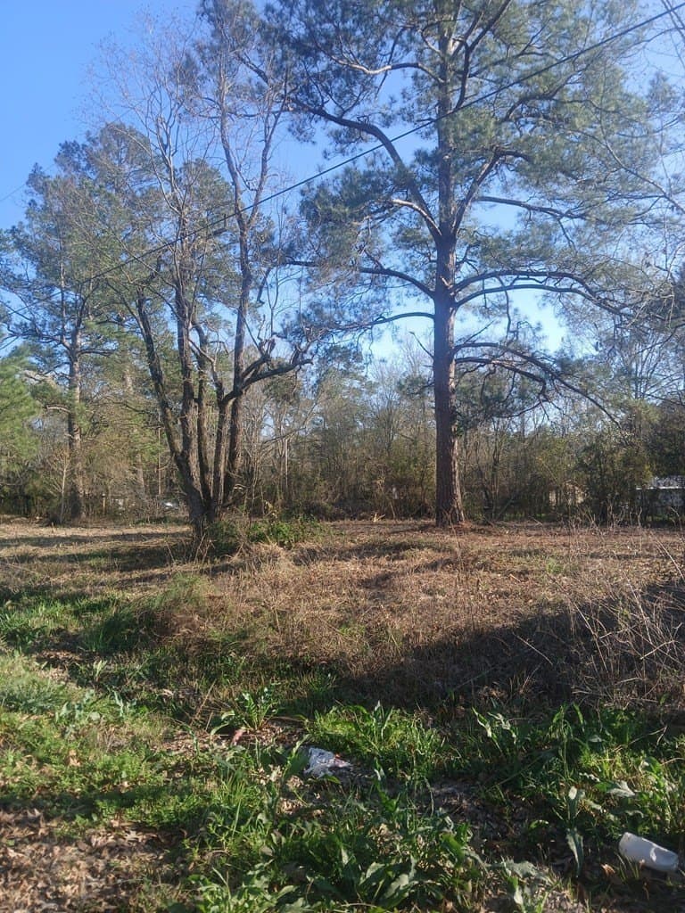 0.47 acres in Texas County gallery image 2