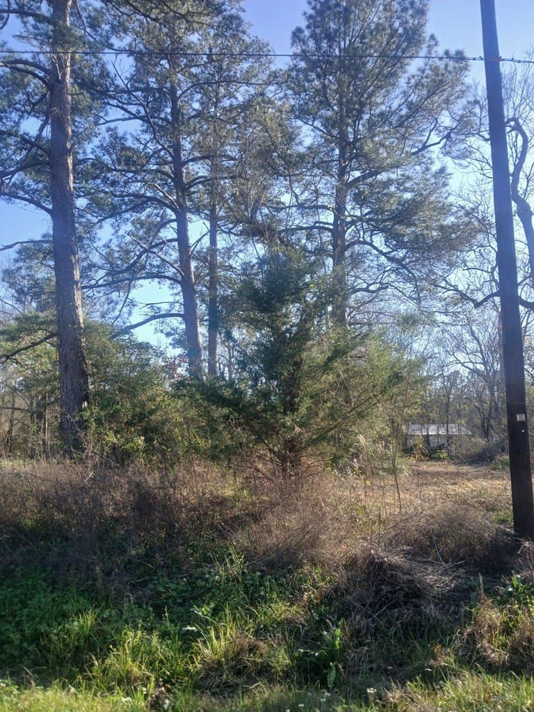 0.47 acres in Texas County featured view