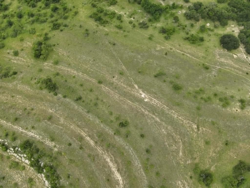 10.01 acres in Comanche County featured view