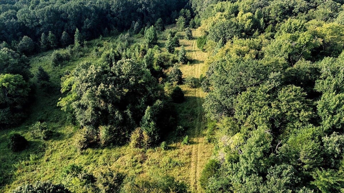 83.79 acres in Smith County - photo 6
