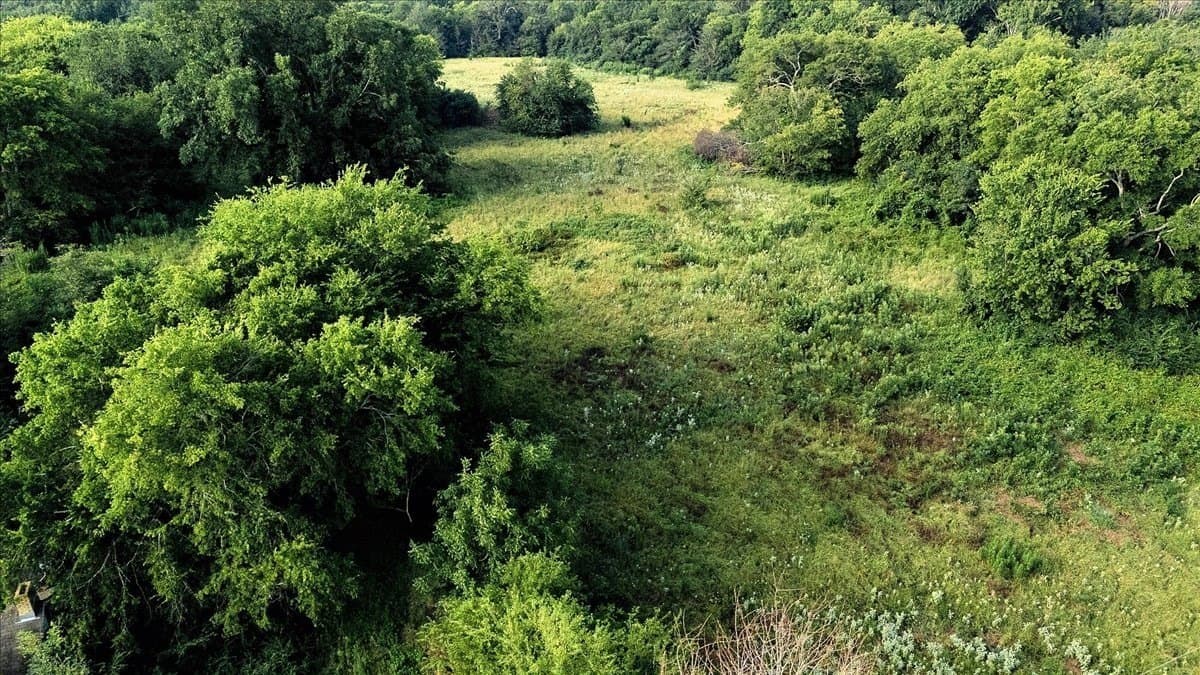 83.79 acres in Smith County - photo 9