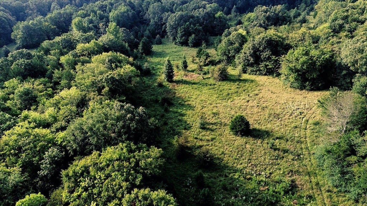 83.79 acres in Smith County - photo 13