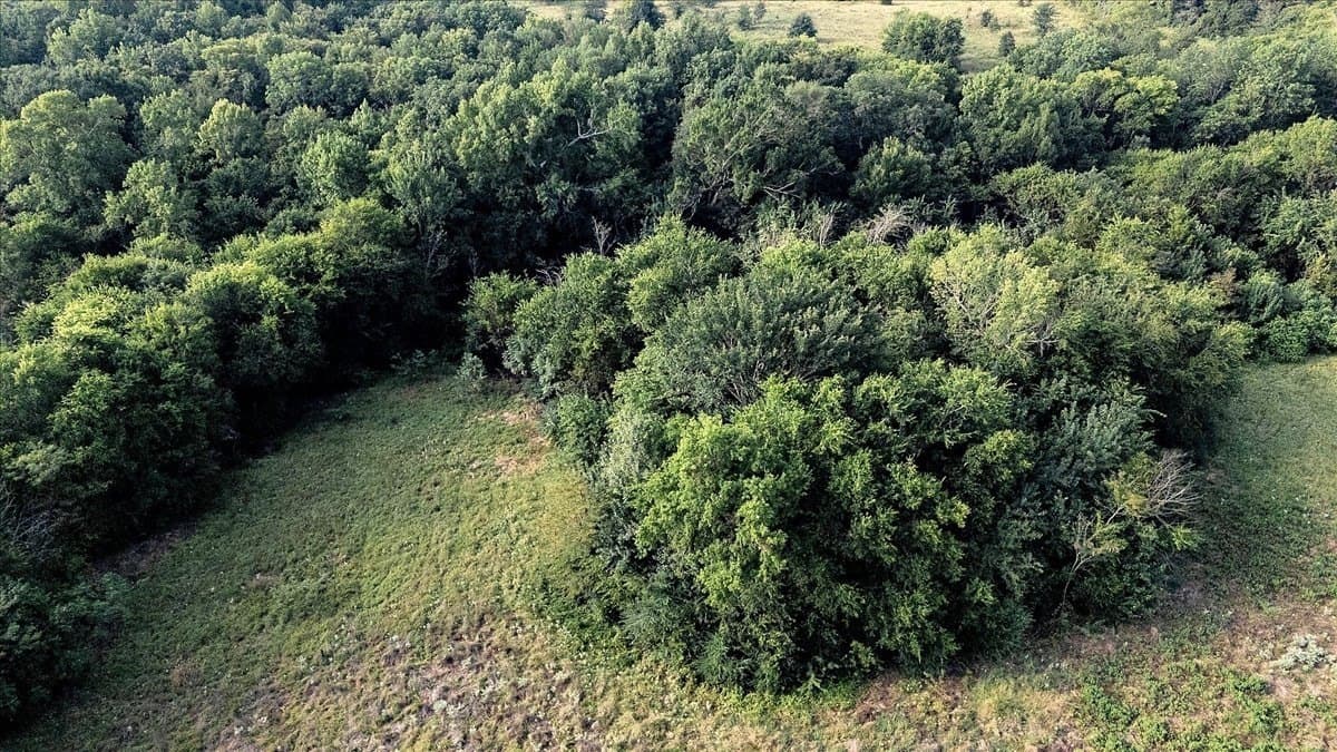83.79 acres in Smith County - photo 10