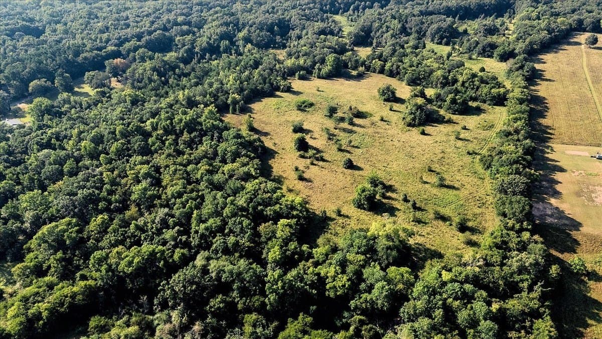 83.79 acres in Smith County - photo 7
