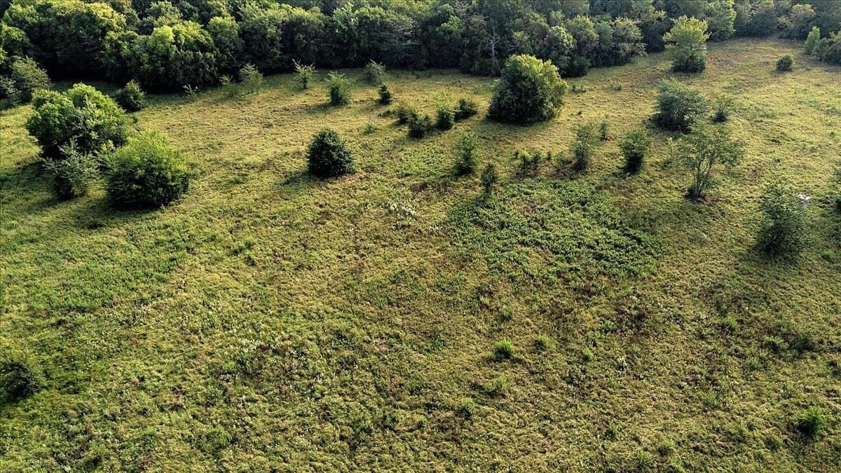 83.79 acres in Smith County - photo 12