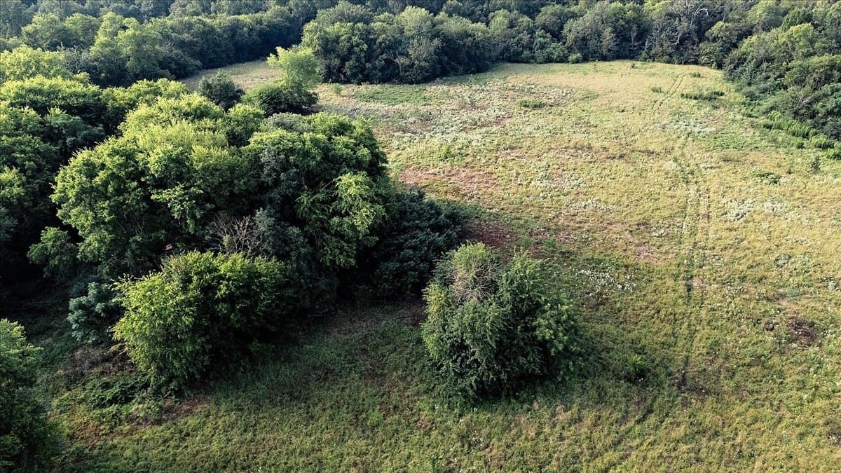 83.79 acres in Smith County - photo 5