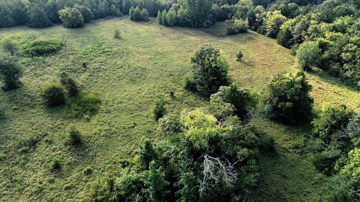 83.79 acres in Smith County - photo 11