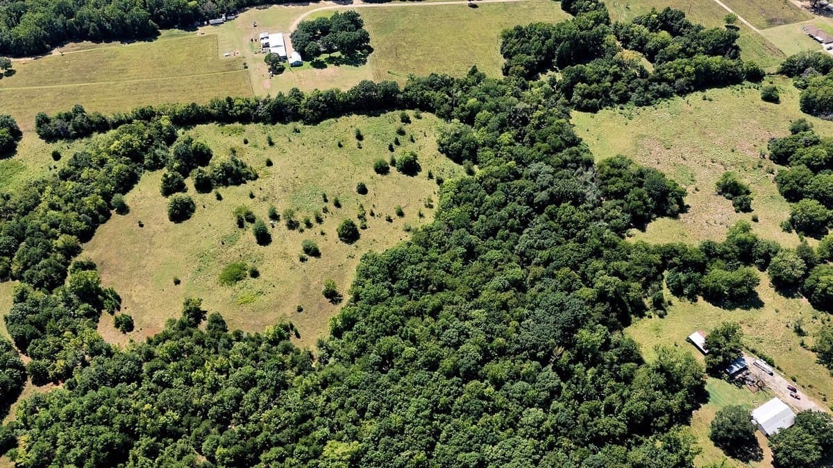 83.79 acres in Smith County - photo 8