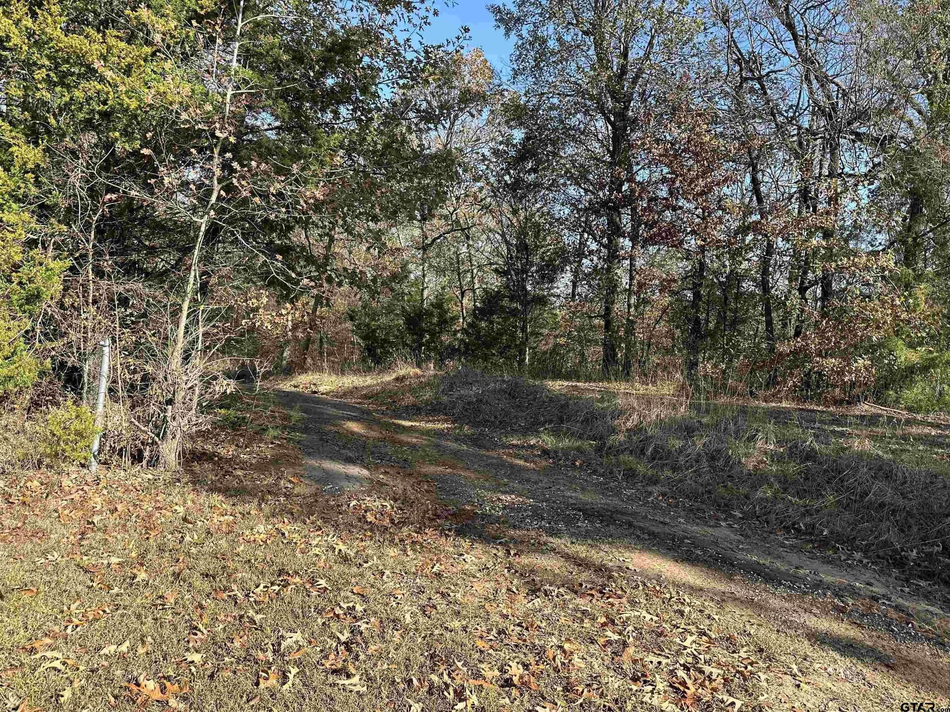 1.1 acres in Camp County gallery image 2