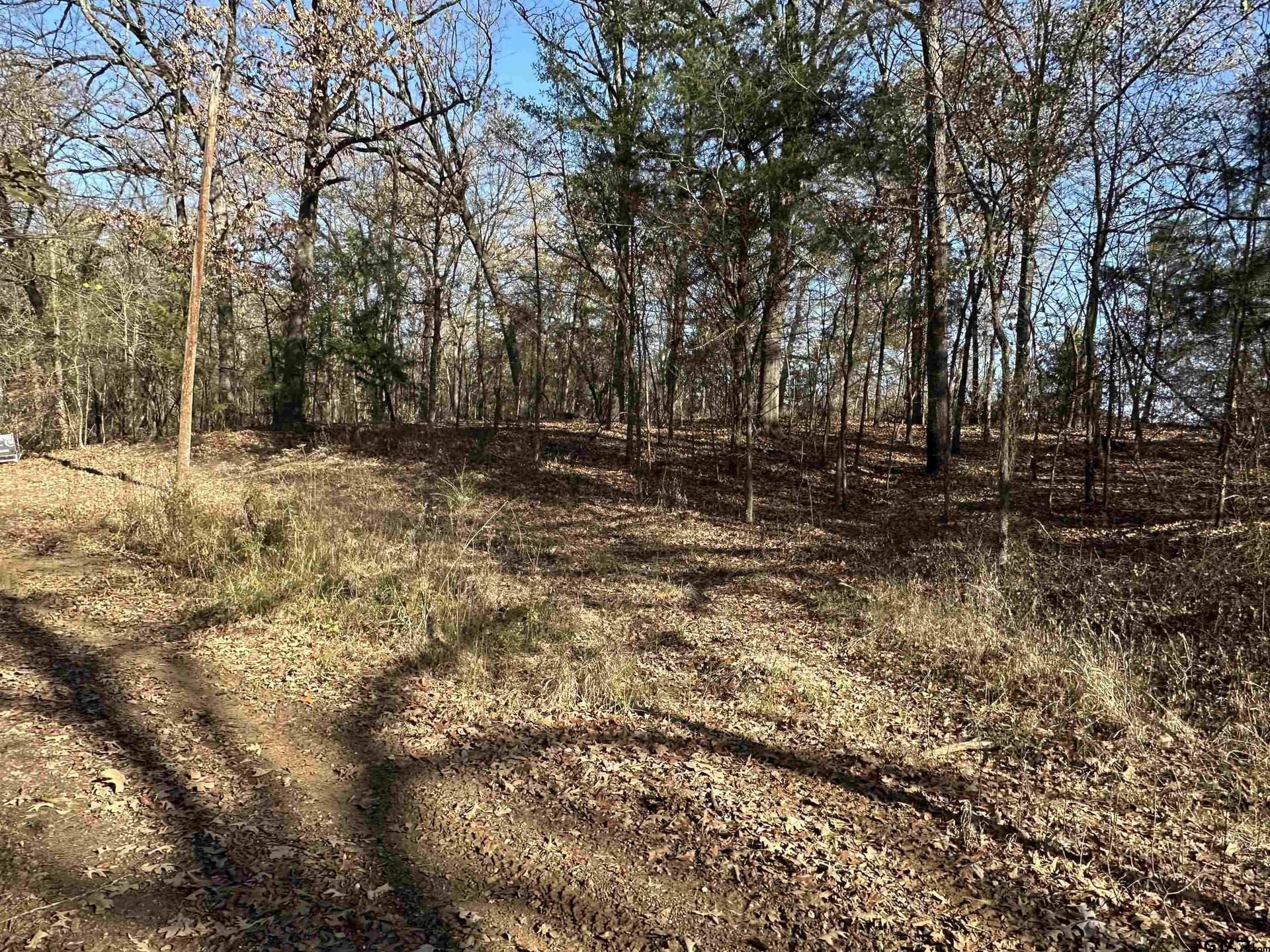 1.1 acres in Camp County