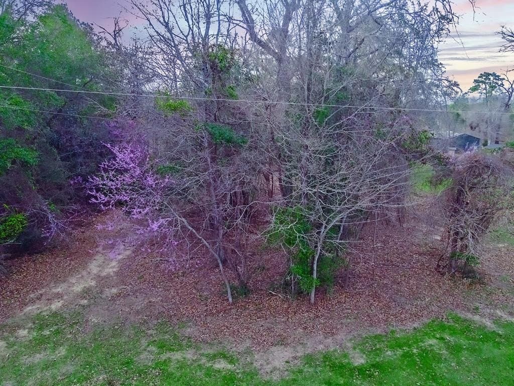 1.7 acres in Texas County - photo 15