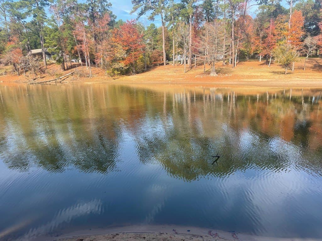 1.7 acres in Texas County - photo 22