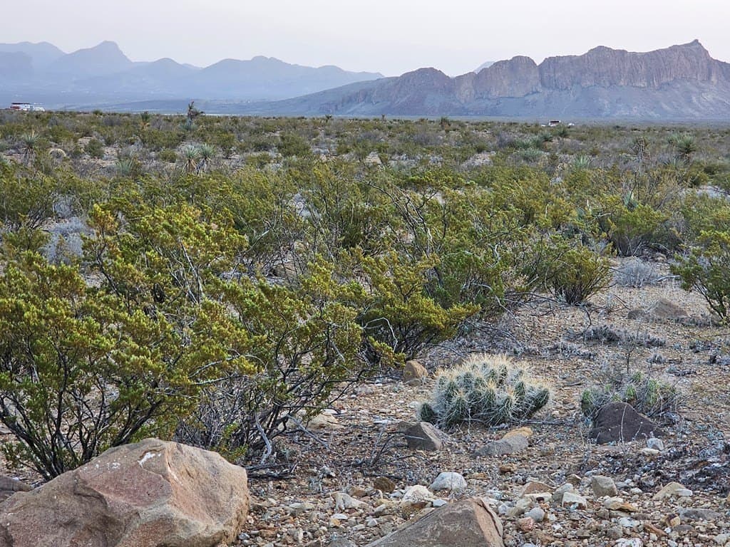 20 acres in Brewster County gallery image 3