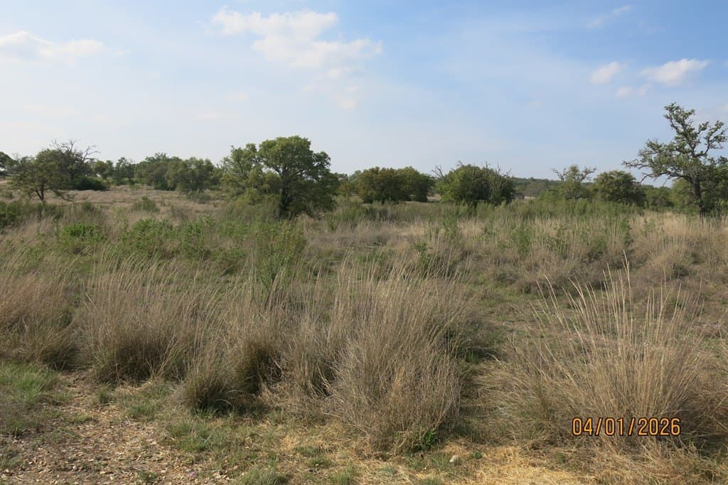 17 acres in Gillespie County gallery image 4
