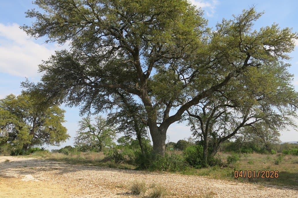 17 acres in Gillespie County featured view
