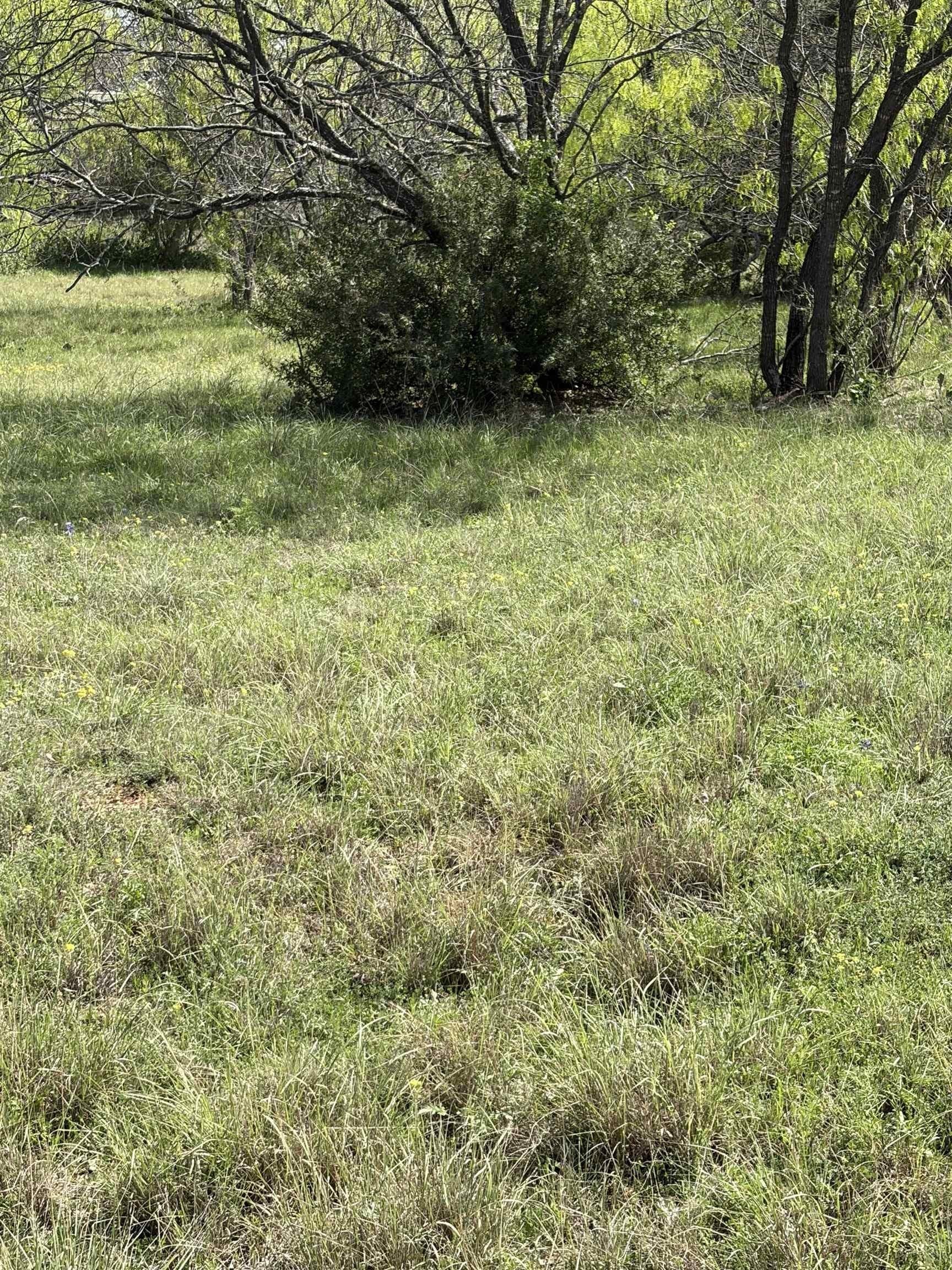 0.46 acres in Llano County - photo 6