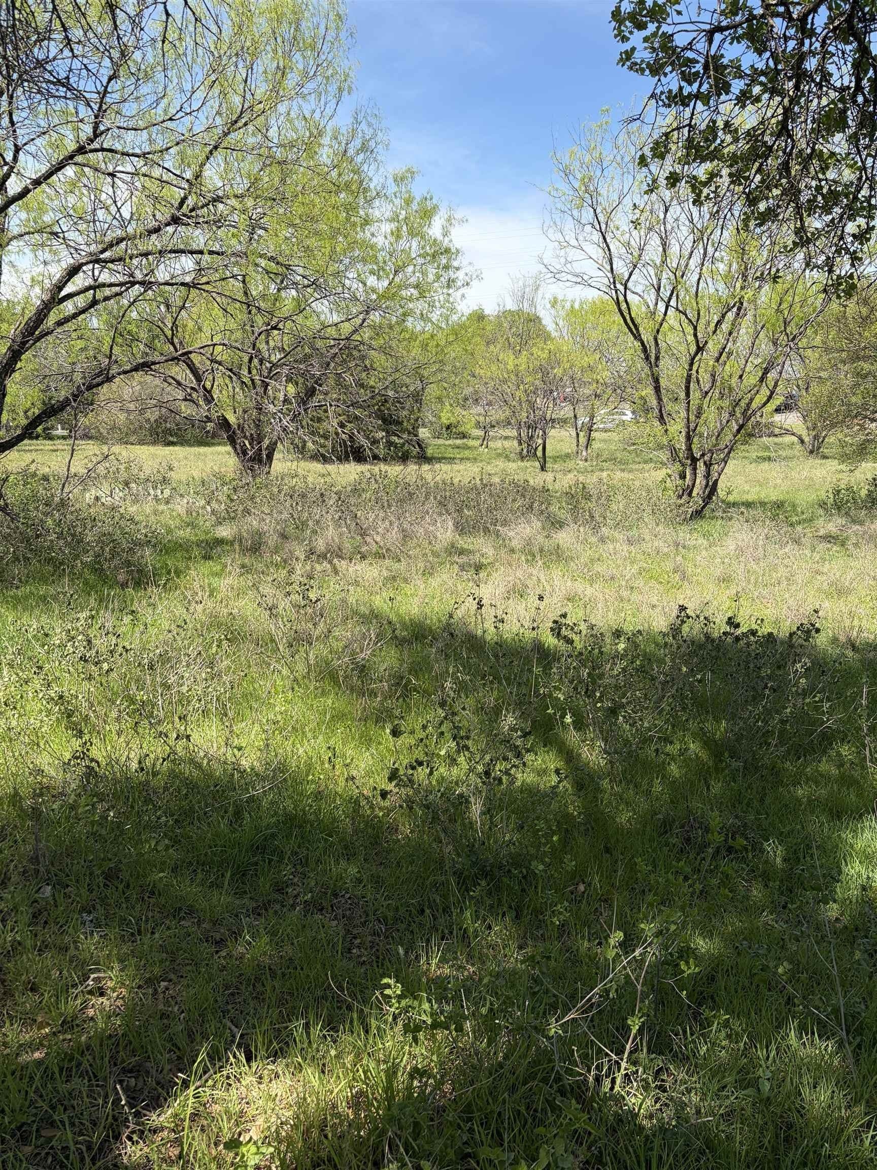 0.46 acres in Llano County gallery image 3