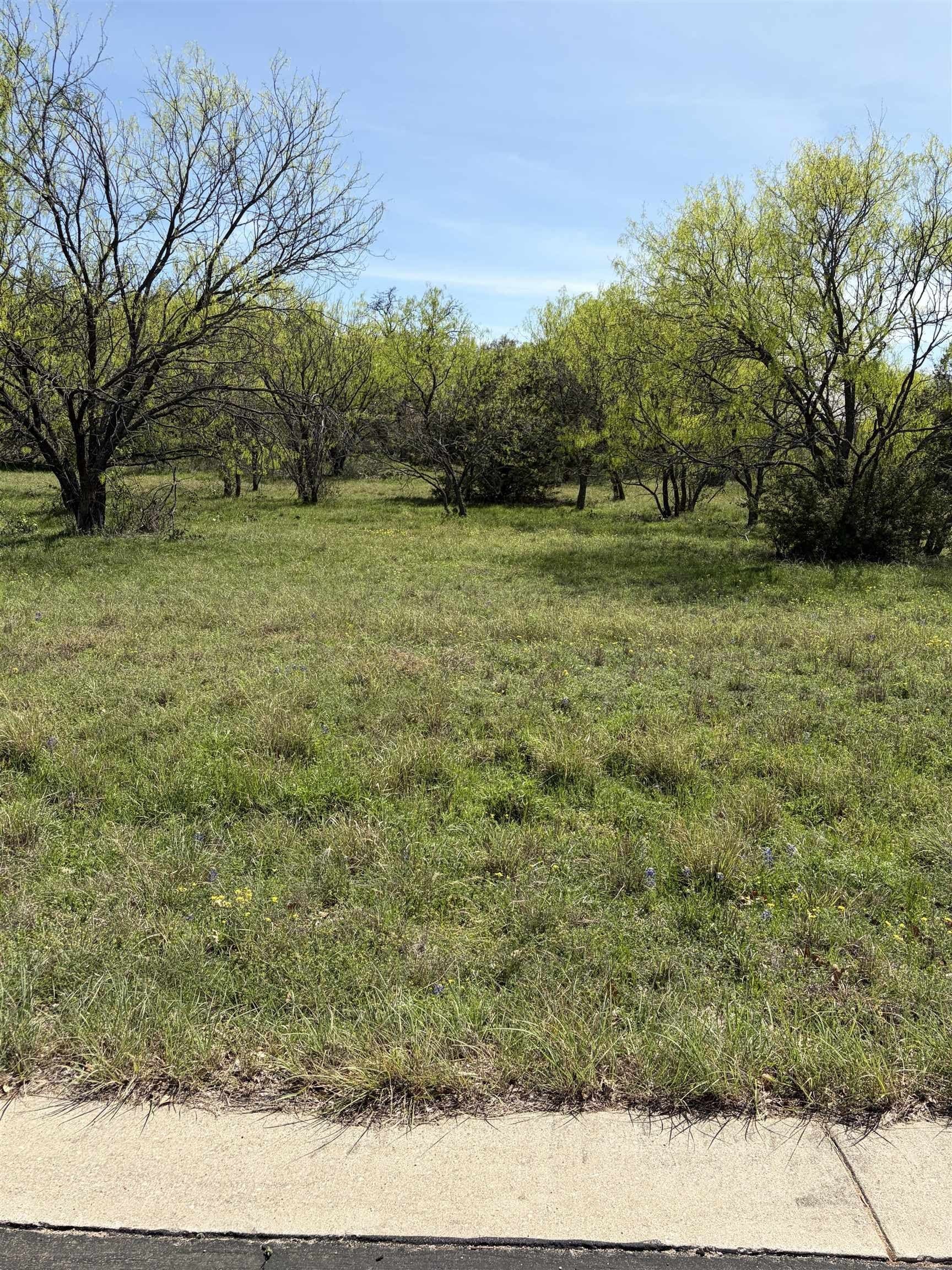 0.46 acres in Llano County gallery image 4