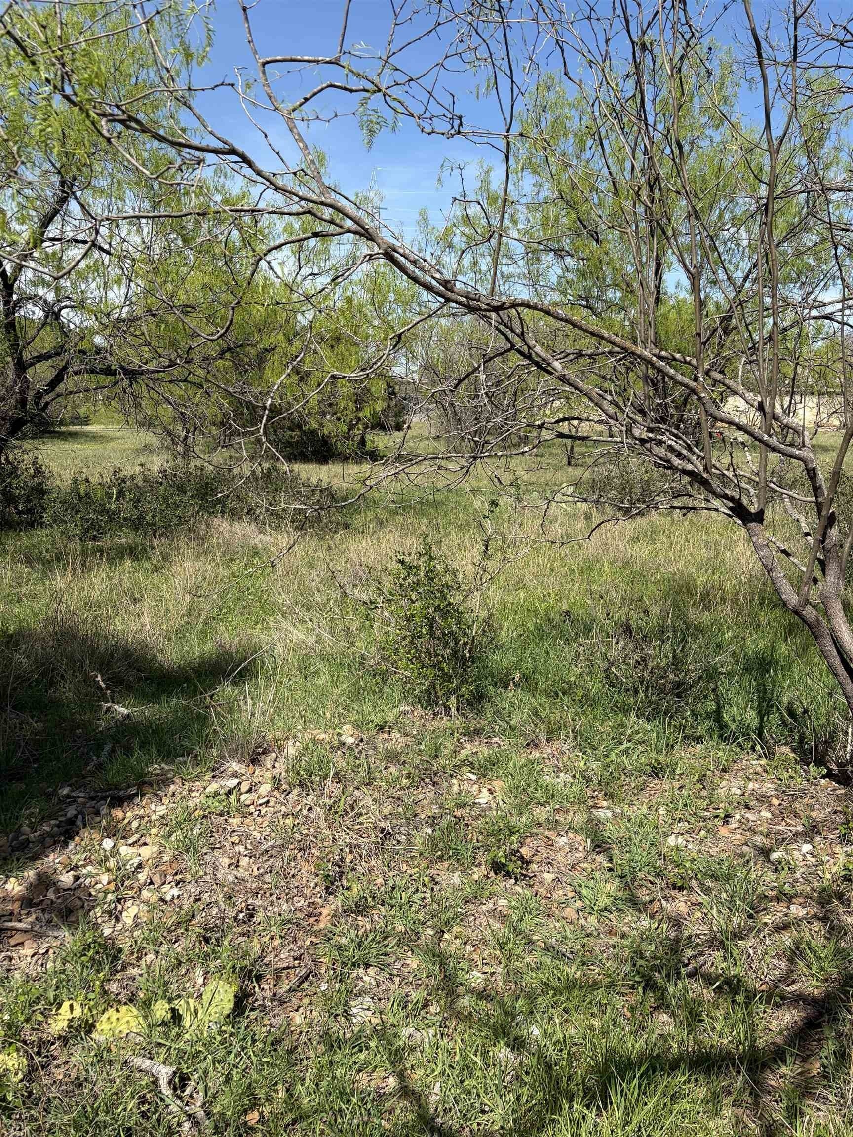 0.46 acres in Llano County gallery image 2