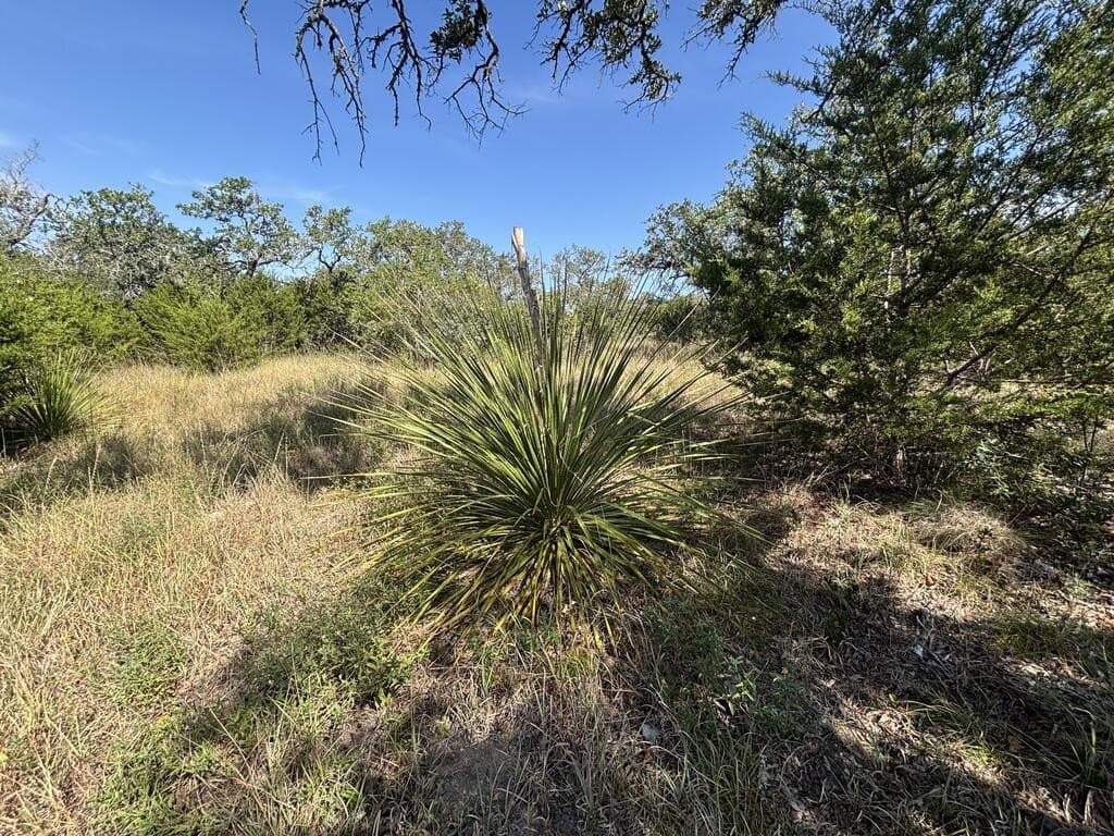7.3 acres in Kendall County - photo 9