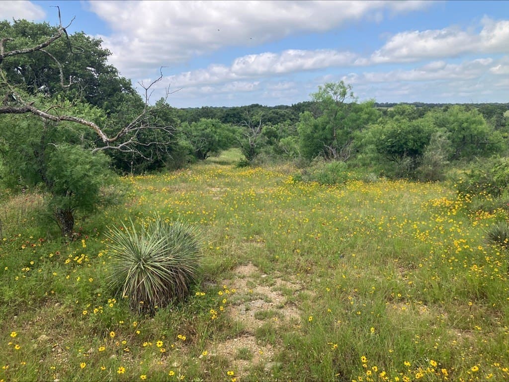 42.5 acres in Mason County gallery image 2