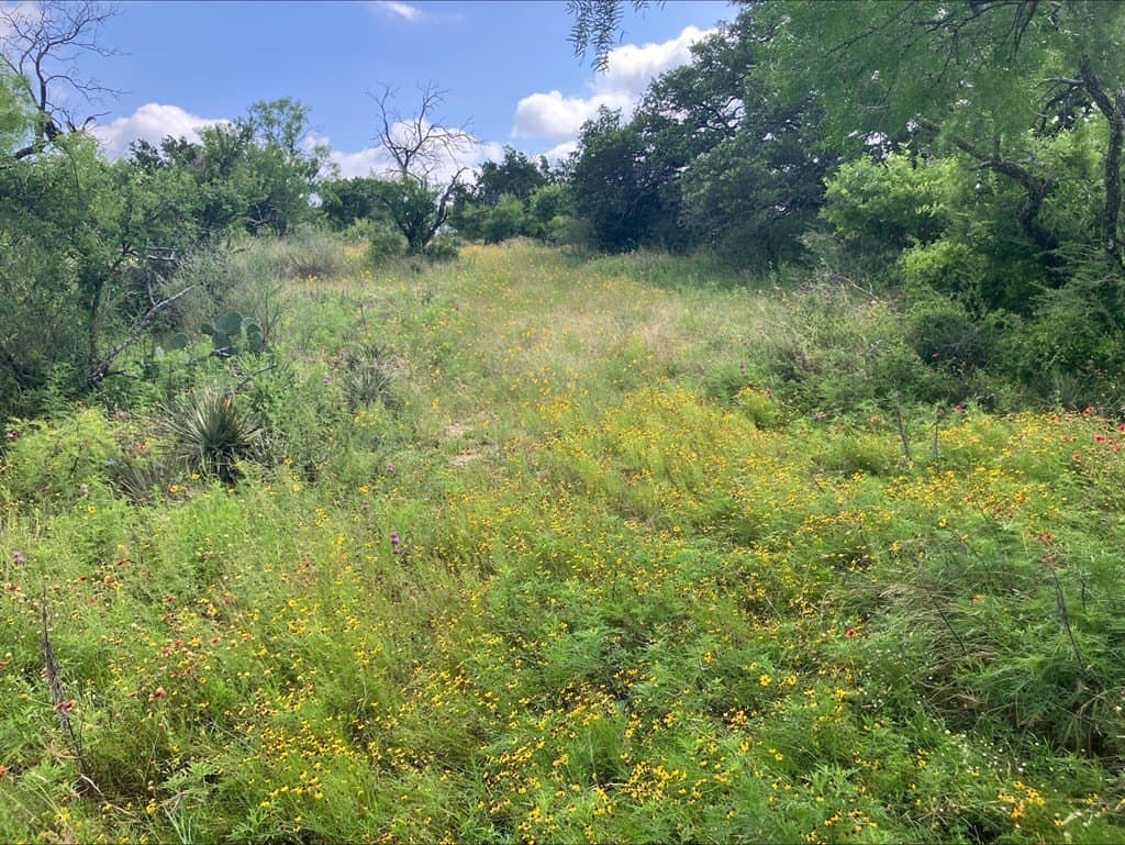 42.5 acres in Mason County gallery image 4