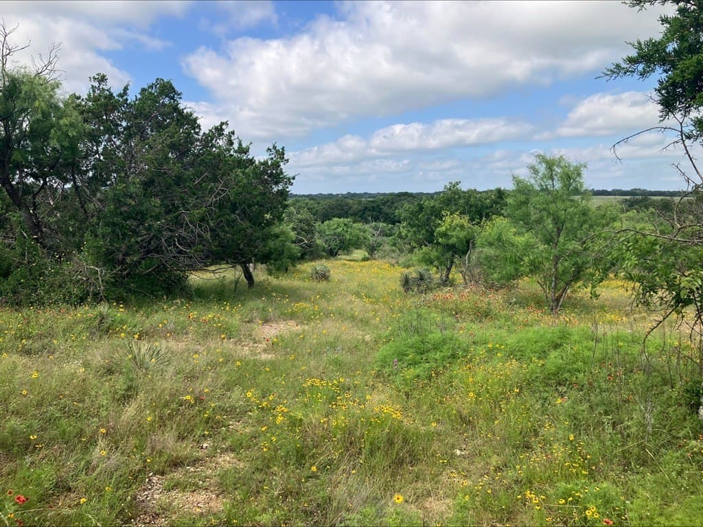 42.5 acres in Mason County gallery image 3