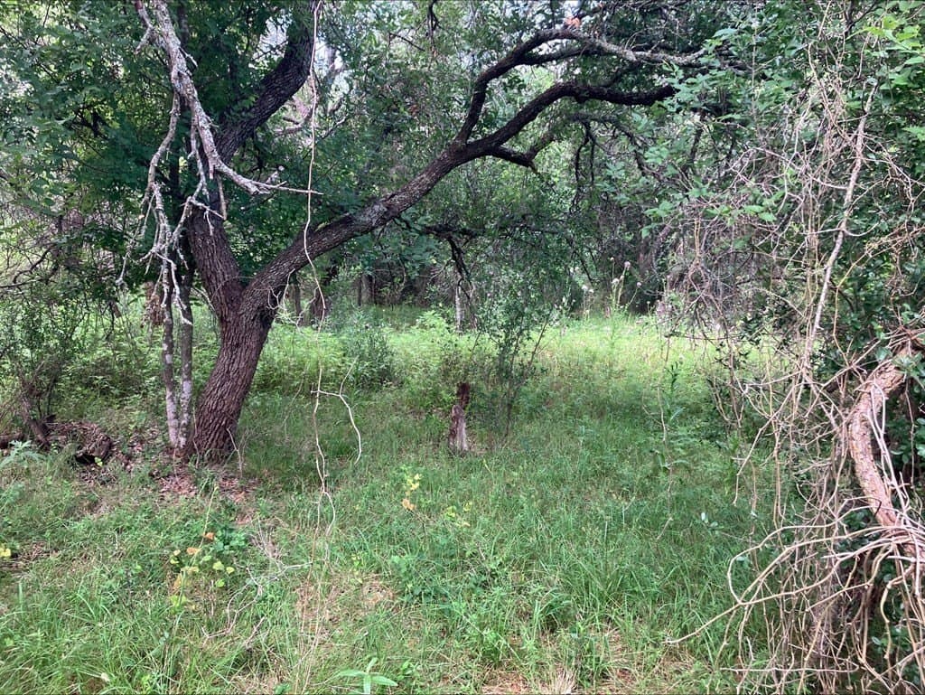 42.5 acres in Mason County featured view