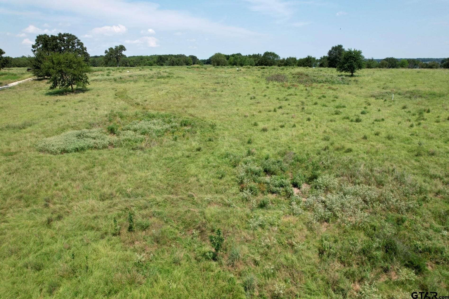 0.82 acres in Rains County - photo 8