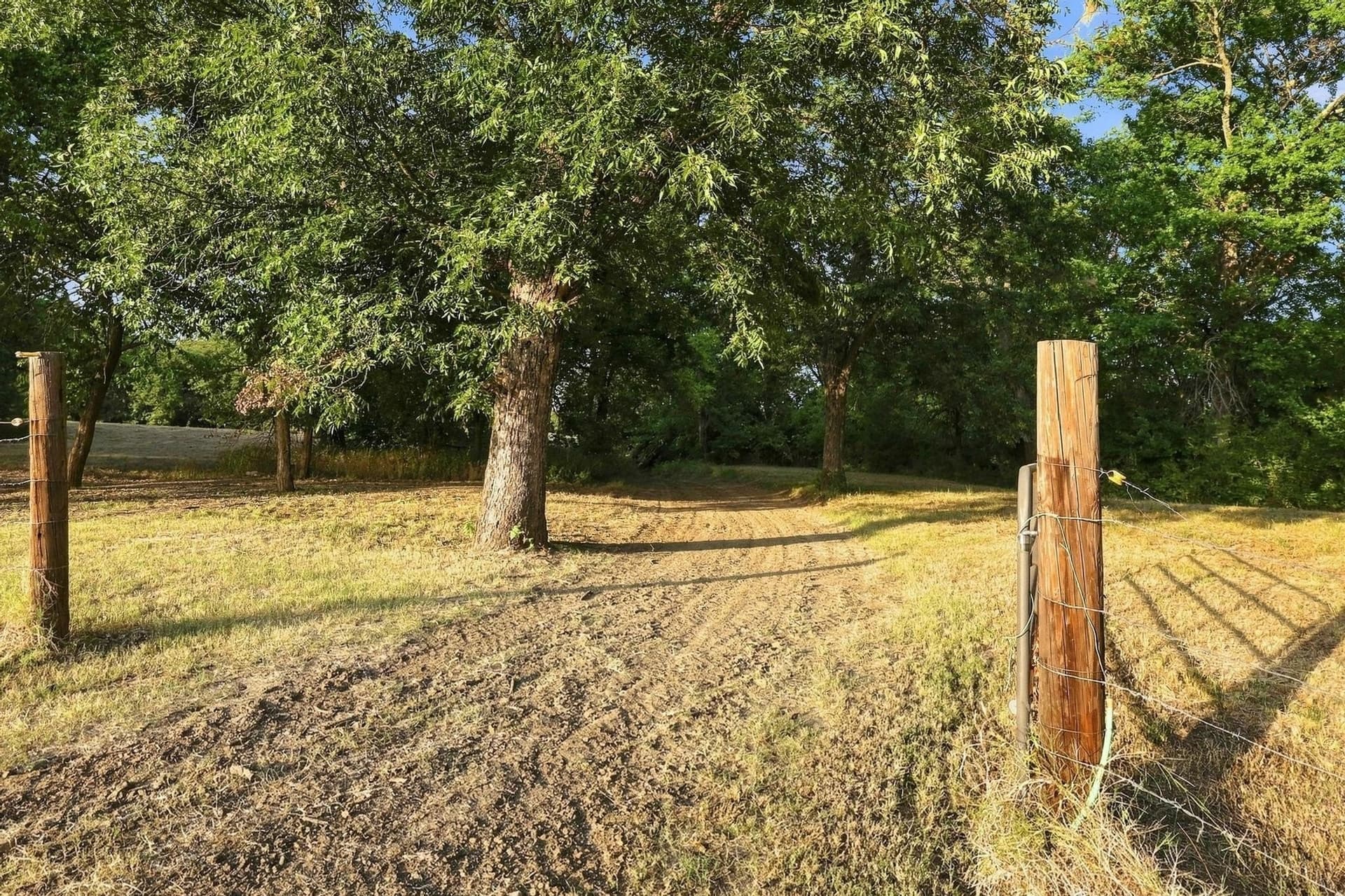 80 acres in Grayson County - photo 15