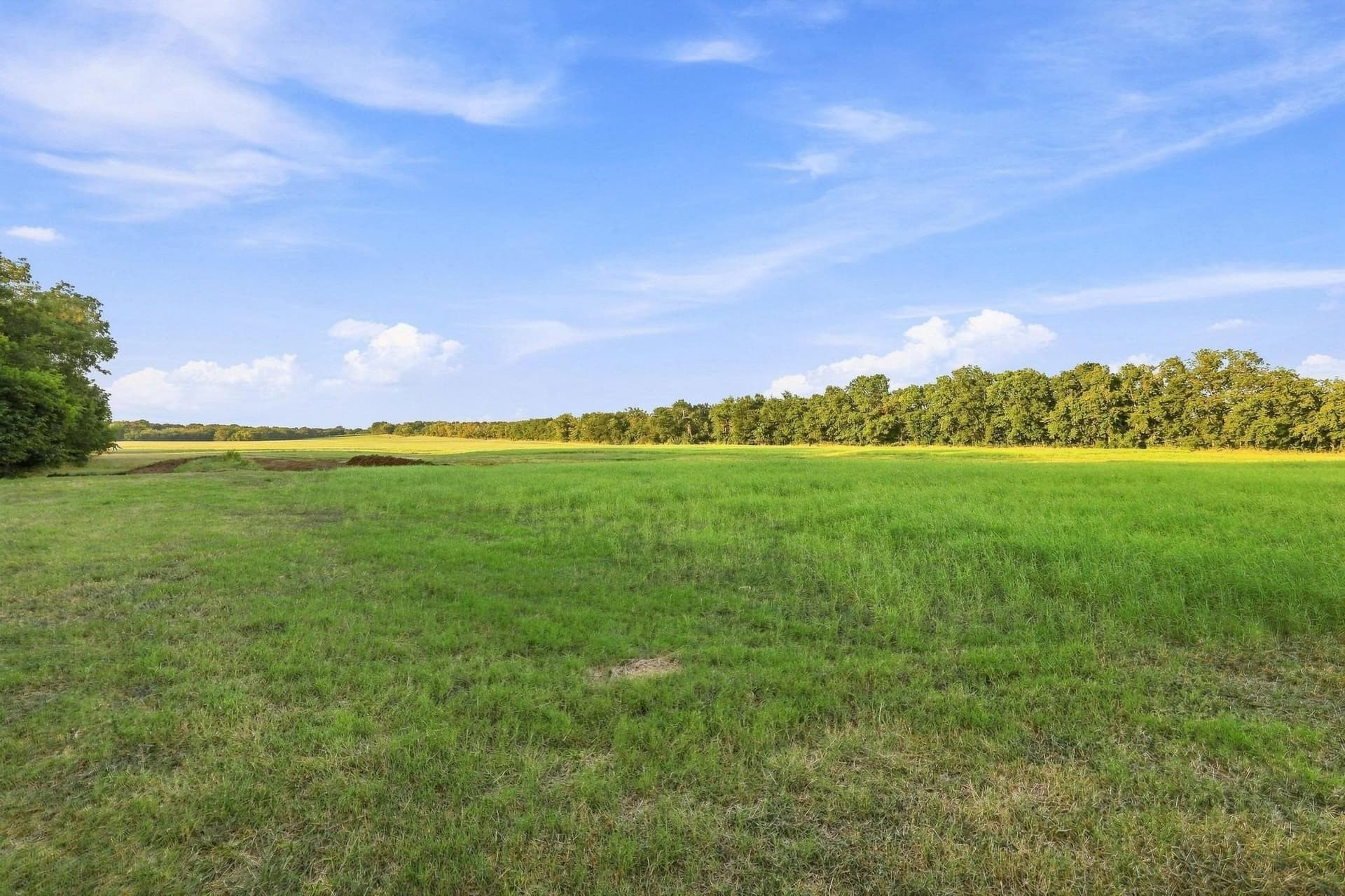 80 acres in Grayson County - photo 12