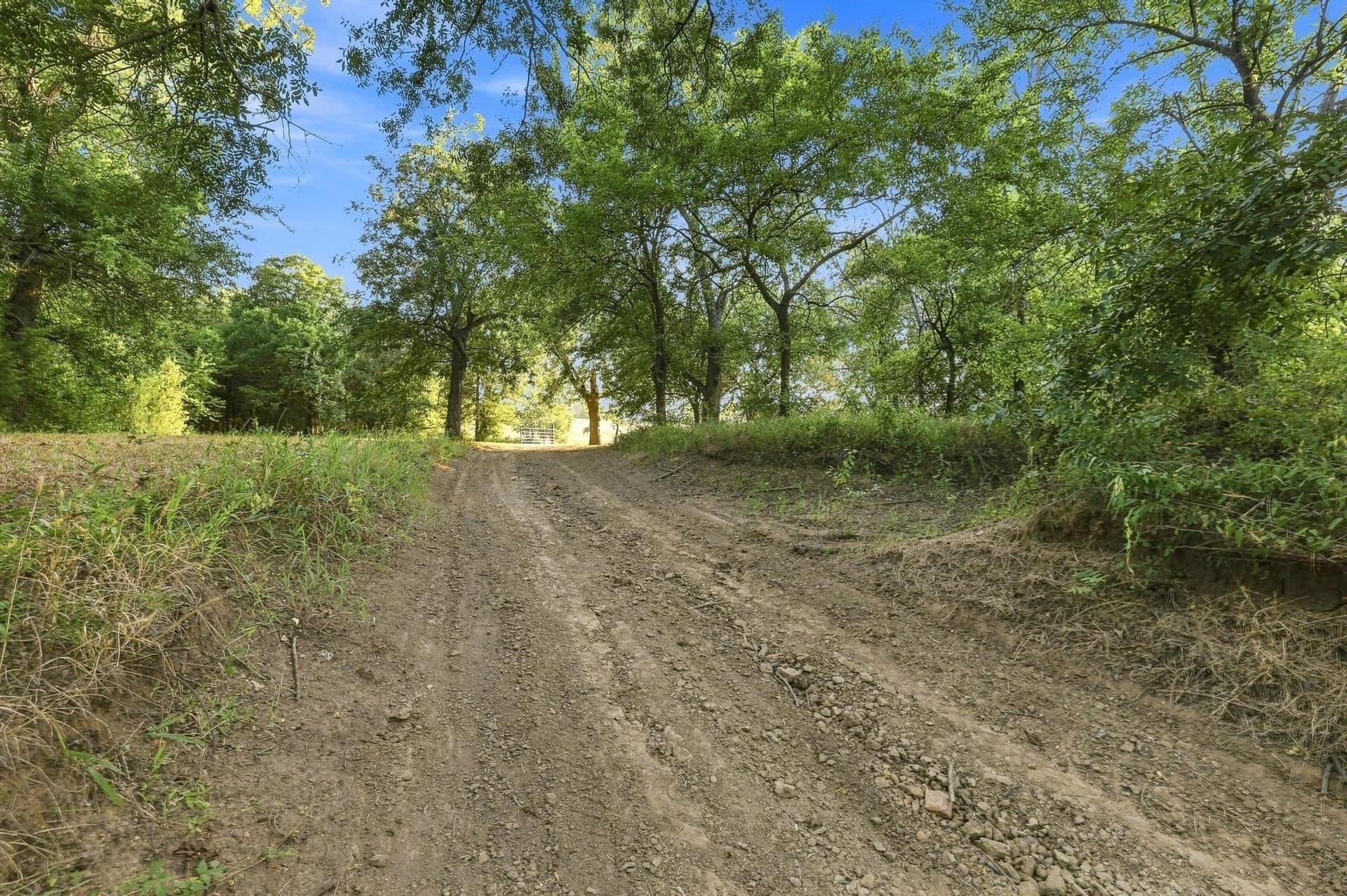 80 acres in Grayson County - photo 11