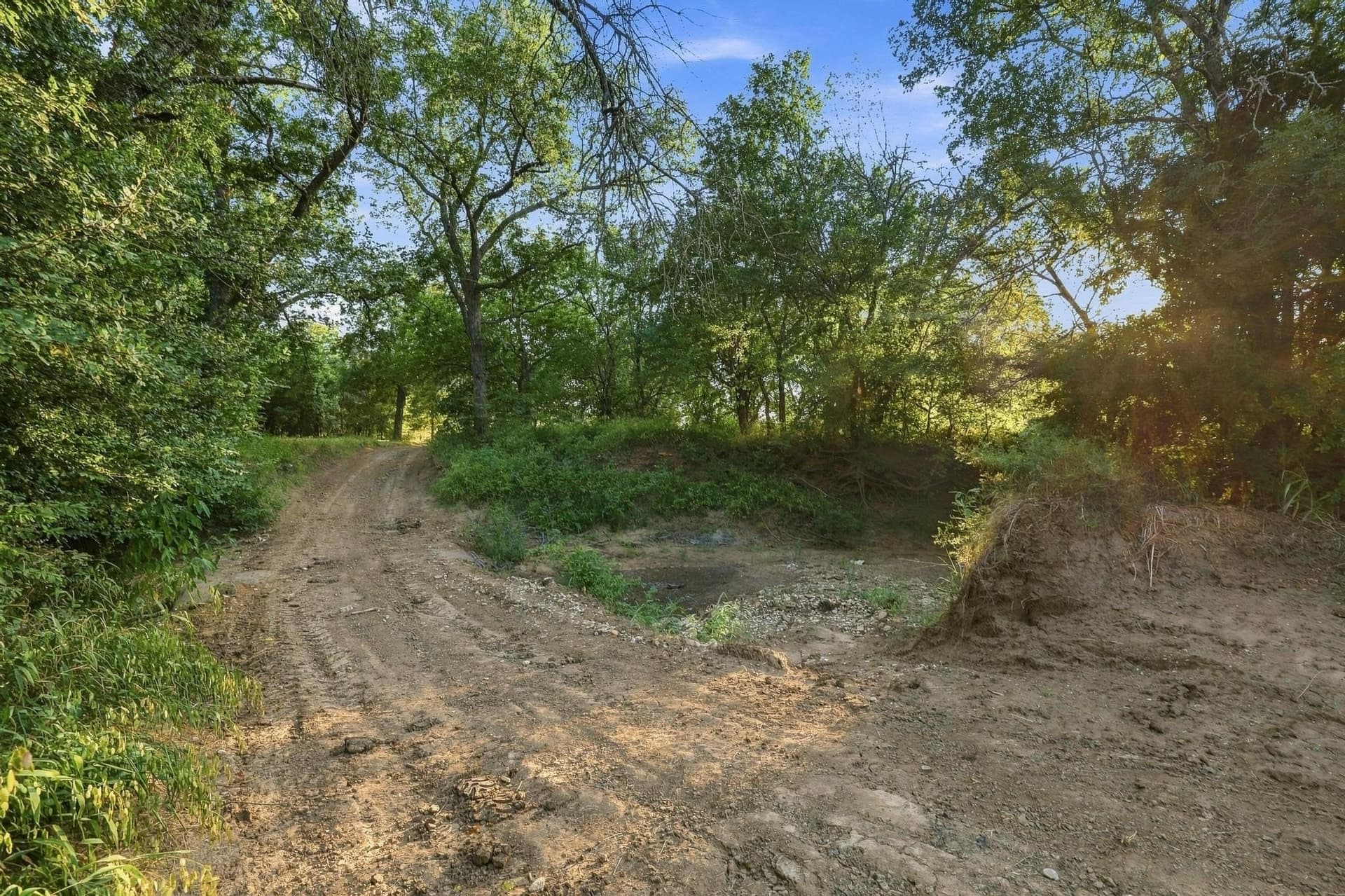 80 acres in Grayson County - photo 13