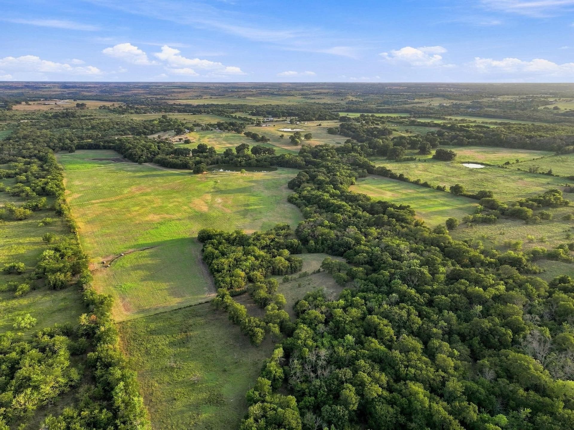 80 acres in Grayson County - photo 6
