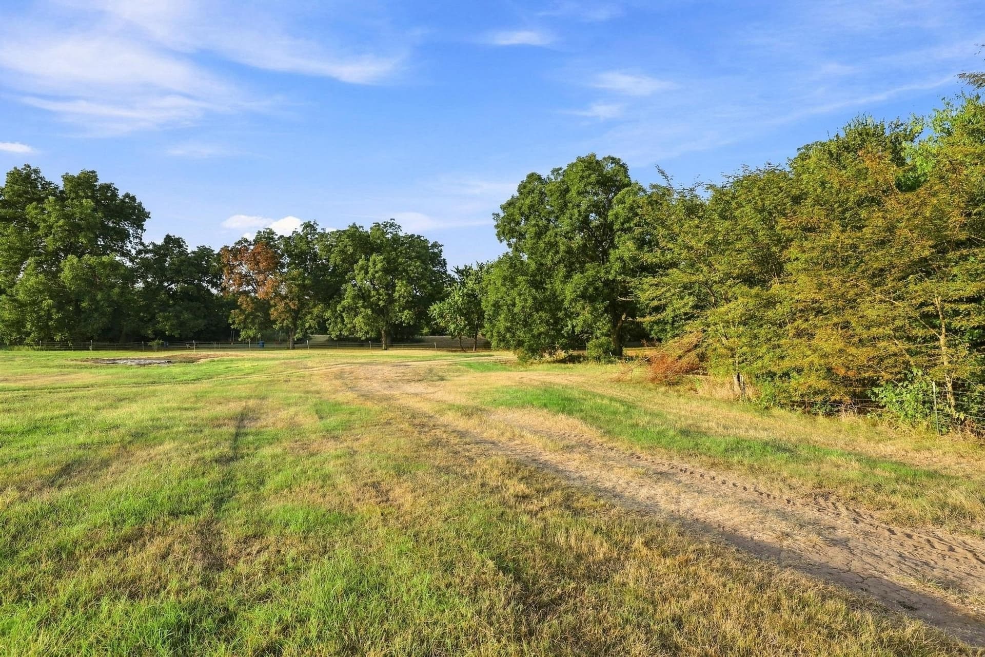 80 acres in Grayson County - photo 16