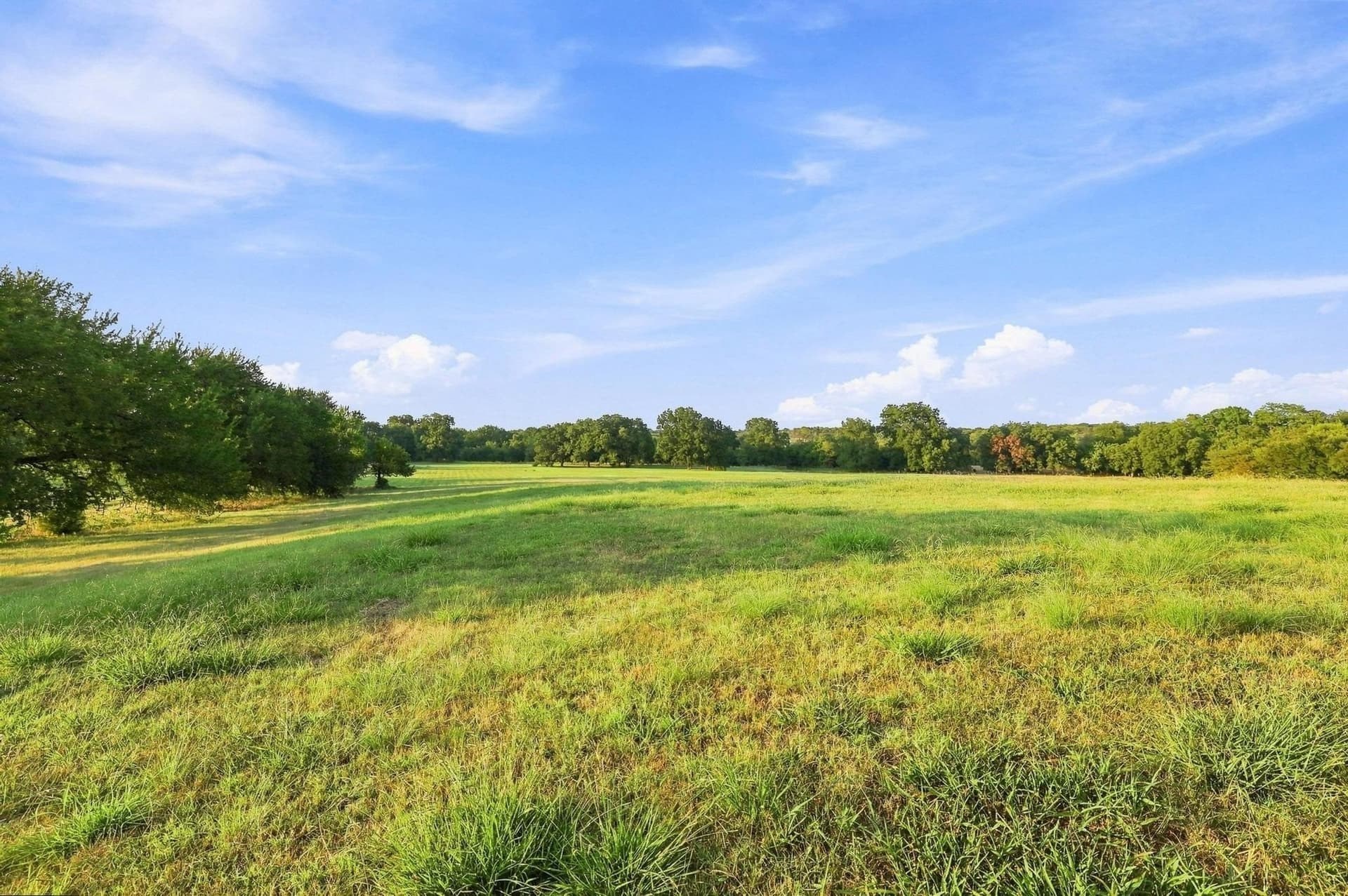 80 acres in Grayson County - photo 9