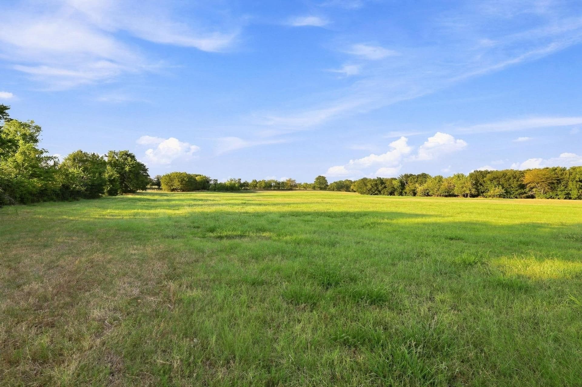 80 acres in Grayson County - photo 3