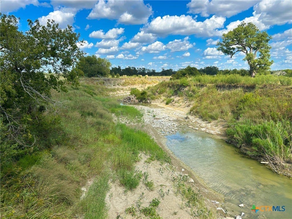 112 acres in Milam County gallery image 3