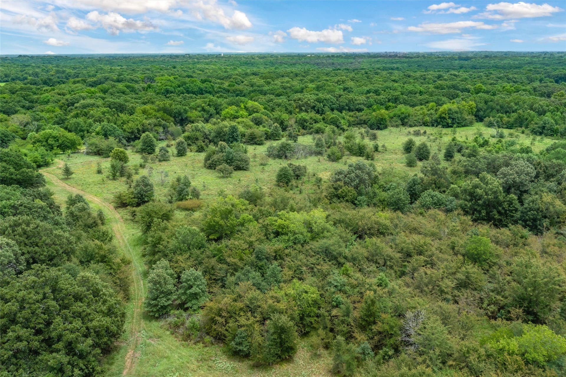 788 acres in Hopkins County - photo 8