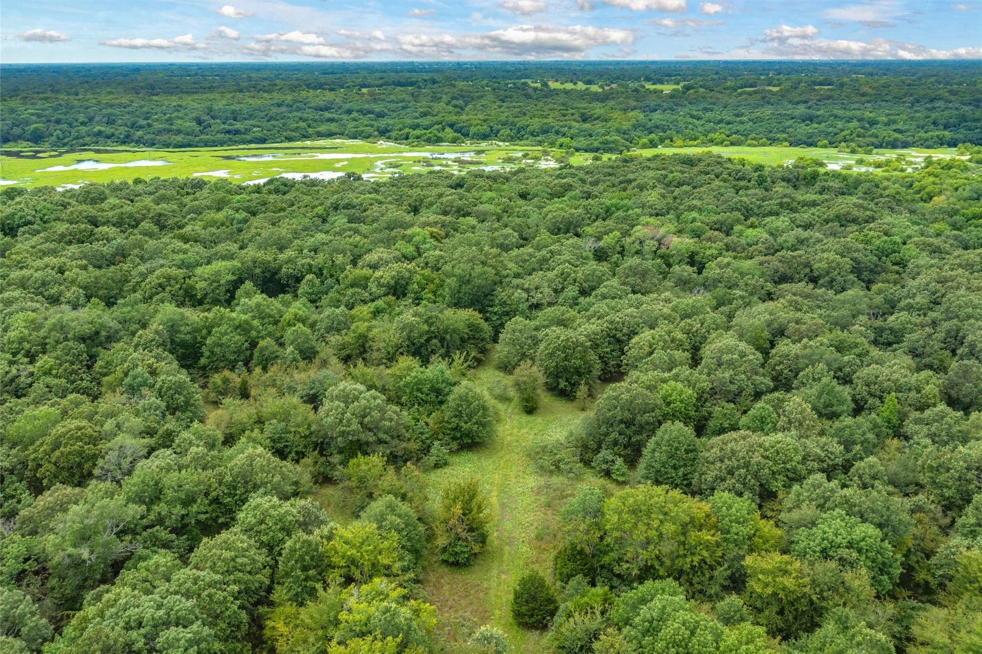 788 acres in Hopkins County - photo 17