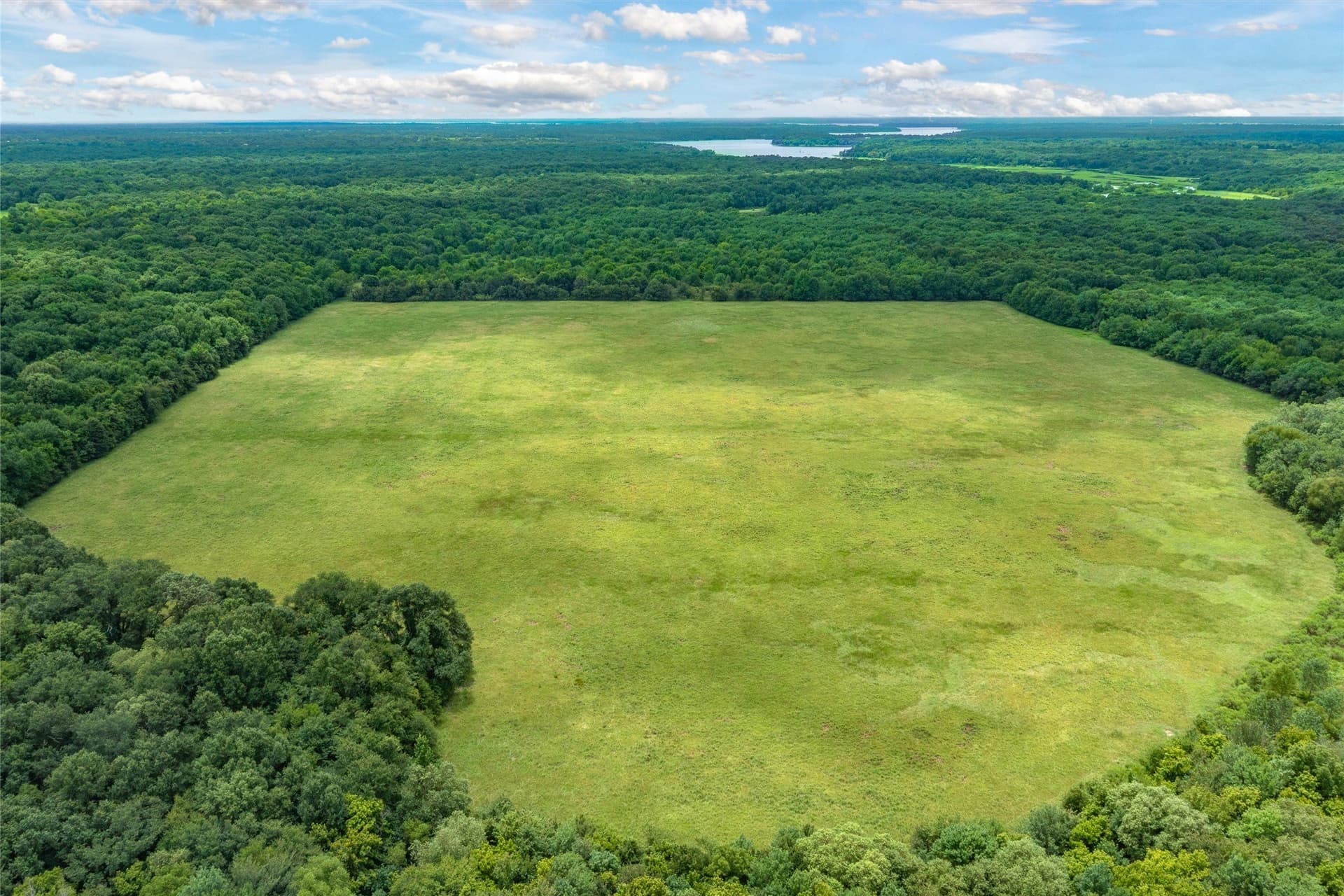 788 acres in Hopkins County - photo 6